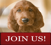 CanaDogs:Canada Dogs  Join Us link to registration page
