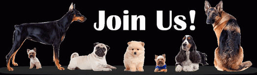 Join Us CanaDogs